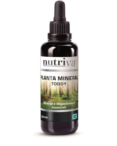 NUTRIVA PLANTA MINERAL TODDY 50M