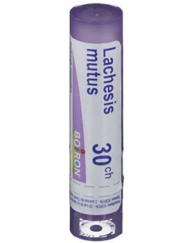 Lachesis Mutus 30Ch Gr