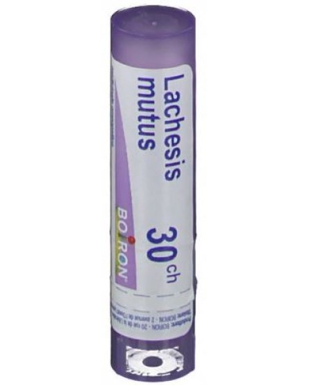 Lachesis Mutus 30Ch Gr