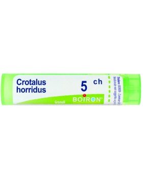 CROTALUS HORRID*BO*TG 5CH