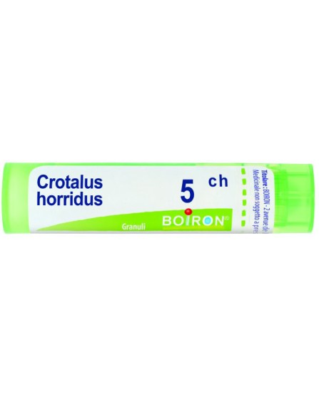 CROTALUS HORRID*BO*TG 5CH