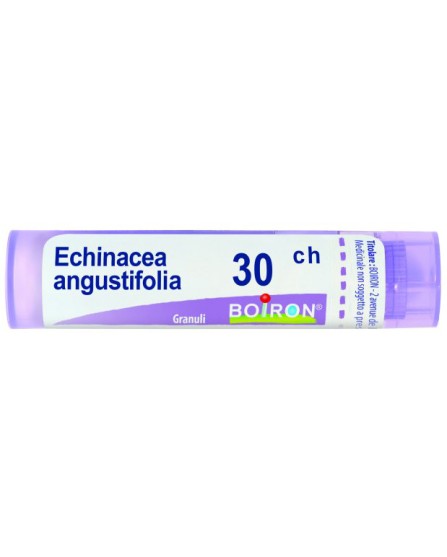 ECHINACEA ANGUSTIFOL 30CH GR BO