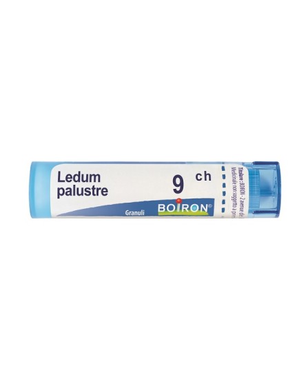 Ledum Palustre 9Ch Granuli