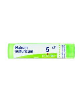NATRUM SULF BOI*5CH 80GR 4G