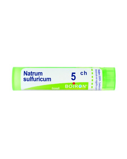 NATRUM SULF BOI*5CH 80GR 4G