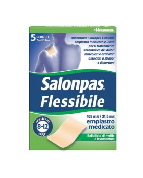 SALONPAS FLESSIBILE*5CER7x10CM