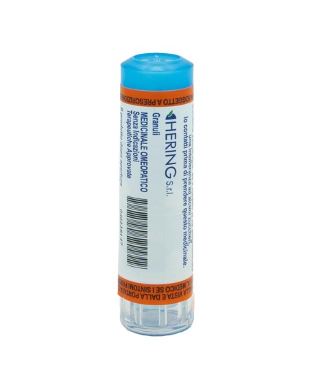 FERRUM METALLICUM*7CH 80GR 4G FERRUM METALLICUM*7CH 80GR 4G