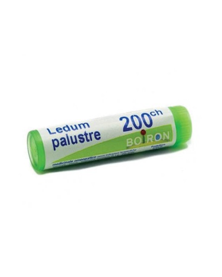 LEDUM PALUSTRE *BO* 200CH GL