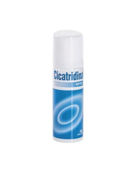 CICATRIDINA-SPRAY 125 ML
