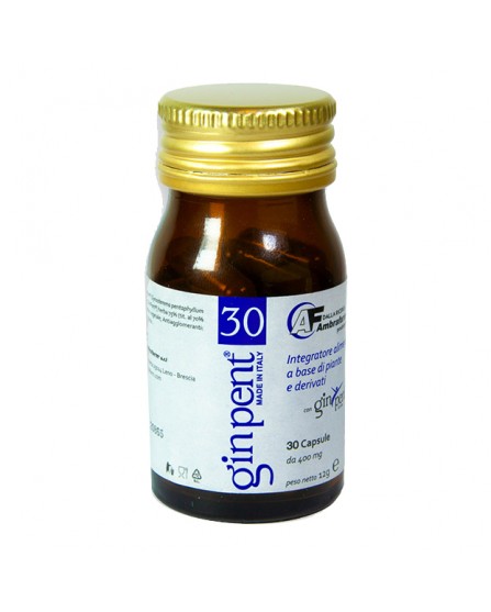 GINPENT  30CPS 400MG