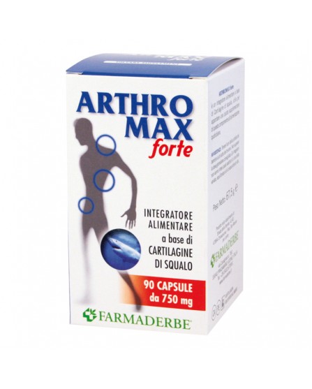 ARTHROMAX FORTE 90CPS