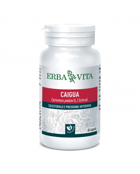 CAIGUA 60CPS 400MG EBV