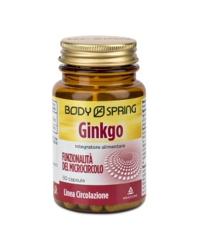 BS GINKGO 120MG 50CPS BSP