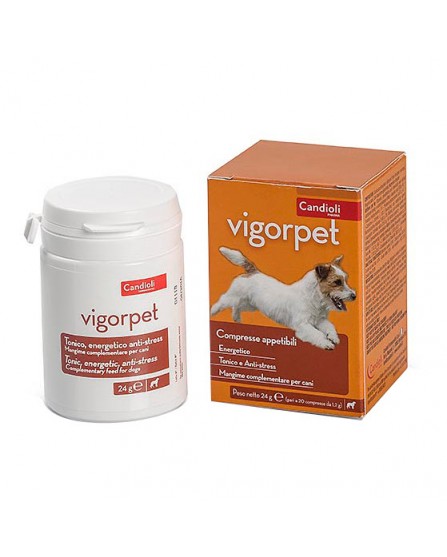 VIGORPET CANI 20 CPR VET