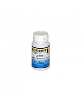 ENZYSOL INTEG 60CPR 24G