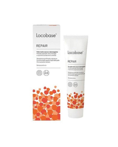 LOCOBASE-REPAIR 100G