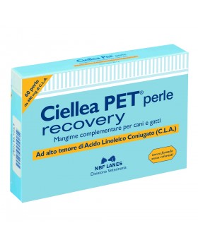 CIELLEA PET RECOVERY 60PRL VET