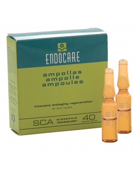 Endocare B 7 Fiale 1Ml