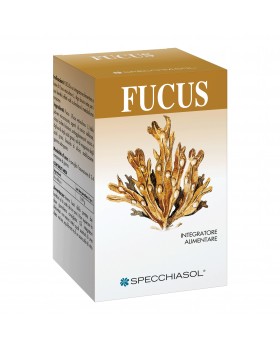 FUCUS ERBE 150TAV