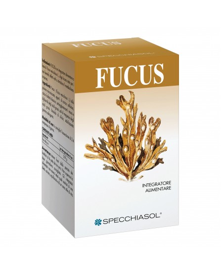 FUCUS ERBE 150TAV