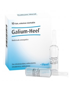 Galium 10F 1,1Ml Heel