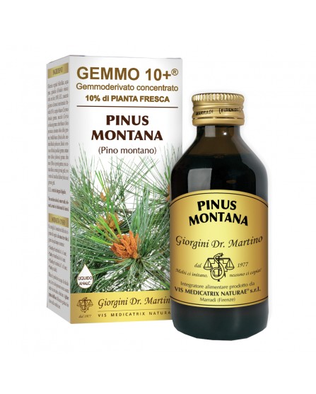 PINO MONT 100ML ANALCO GEM 10+