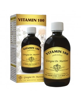 VITAMIN 100 LIQ ANALC500ML GIORG