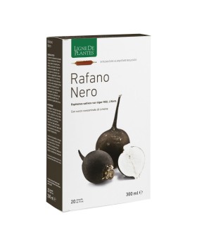RAFANO NERO BIO 20AB 15M NAT SER