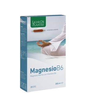 MAGNESIO B6 20AB 15ML