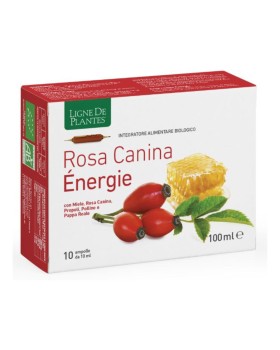ROSA CANINA ENERGIE BIO 10AB