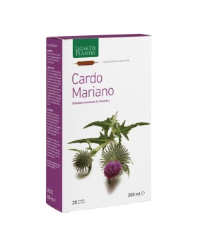 CARDO MARIANO 20AB 15ML