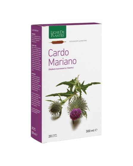 CARDO MARIANO 20AB 15ML