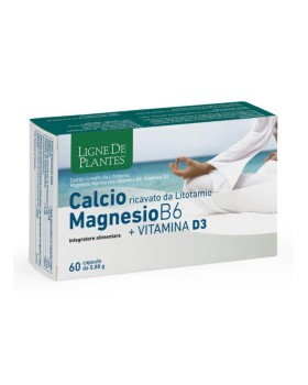 CALCIO MAGNESIO B6+VITD3 60CPS