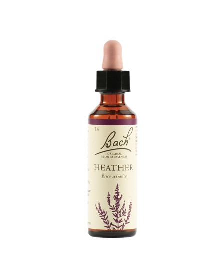 HEATHER BACH ORIG 20ML