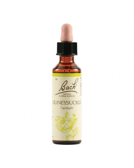 Honeysuckle Bach Original 20Ml