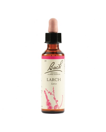 LARCH BACH ORIG 20ML