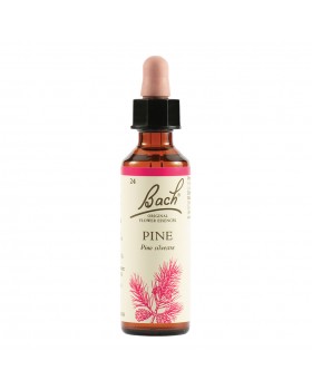 Pine Bach Original 20Ml