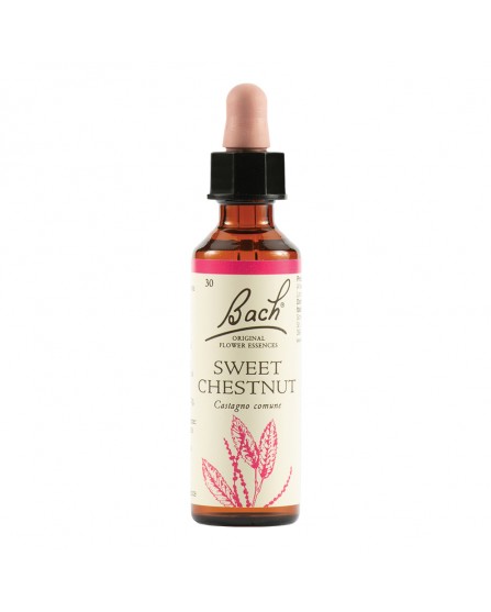 Sweet Chest Bach Original 20Ml