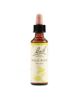 Wild Rose Bach Original 20Ml