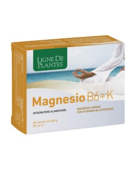 MAGNESIO B6 + K 60CPS