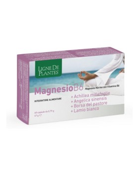 LIGNE MG B6+ACHIL+ANG+PAST+LAM