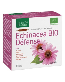 ECHINACEA BIO DEFENSE 15AMP 15ML