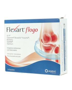FLEXART FLOGO 14BUST