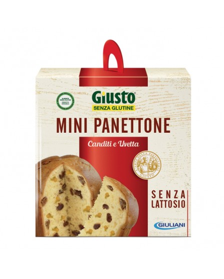 GIUSTO PANETTON UV/CAN 100G S/G