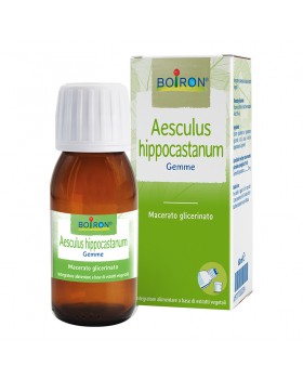 Aesculus Hippocastanum Macerato glicerico 60Ml Int