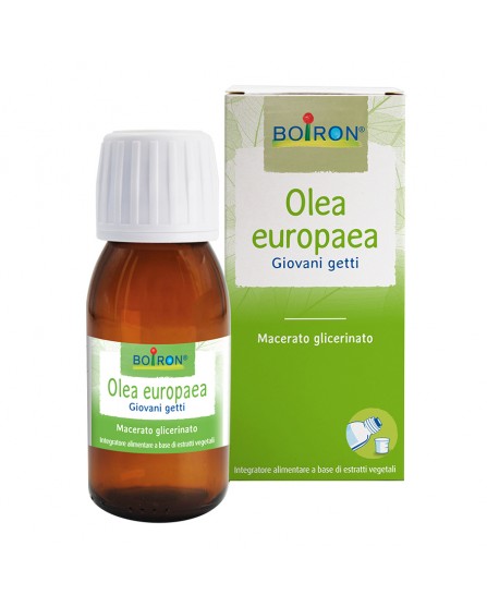 OLEA EUROPAEA MG 60ML INT BO