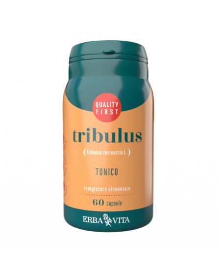 TRIBULUS 60CPS EBV