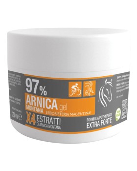 ARNICA 97% GEL 250ML