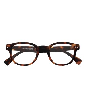 GLASSIO NEWPORT OCCH TORT +3,5