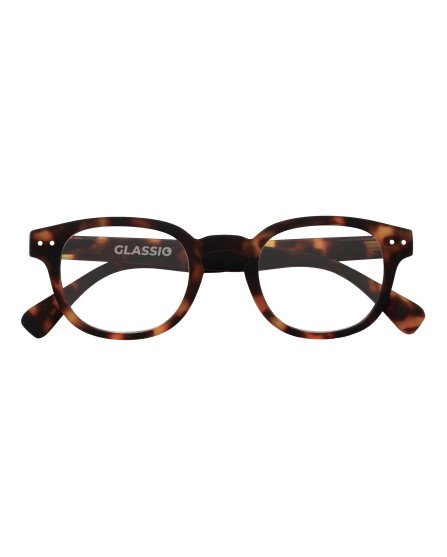 GLASSIO NEWPORT OCCH TORT +3,5